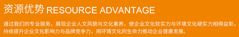 资源优势